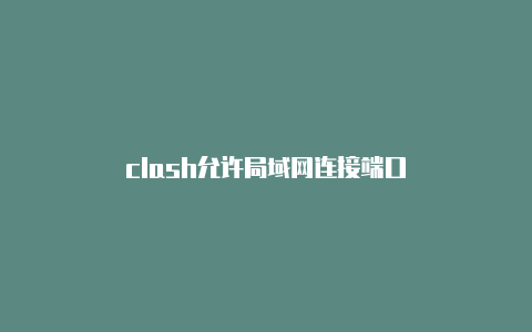 clash允许局域网连接端口