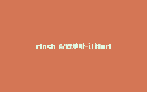 clash 配置地址-订阅url