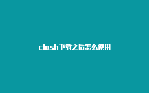 clash下载之后怎么使用