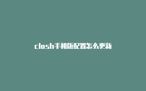 clash手机版配置怎么更新