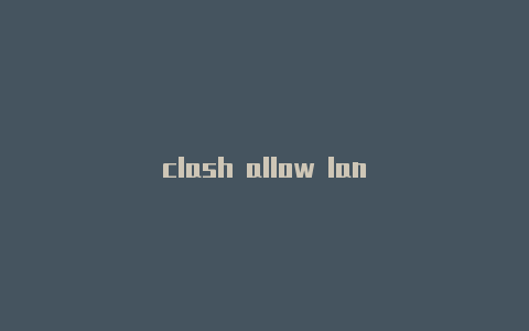 clash allow lan