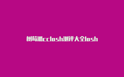 树莓派cclash测评大全lash